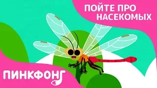 С-С-С-Стрекоза | Песни про насекомых | Пинкфонг песни для детей