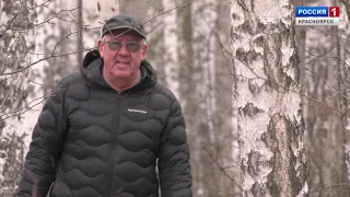 Самое русское дерево. Фильм Сергея Герасимова