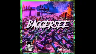 deMusiax x Guterzogene Asis - Baggersee [Lyrics Video]