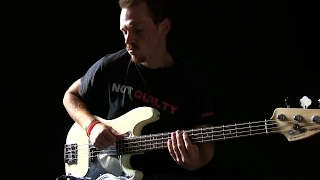 IRON MAIDEN - The Evil That Men Do Bass Cover
