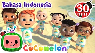 Ke Pantai Bertemu Hewan laut | CoComelon Indonesia | Lagu Anak Anak | Nursery Rhymes indonesia