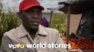 Economic chaos in Zimbabwe - Straight through Africa | VPRO Documentary