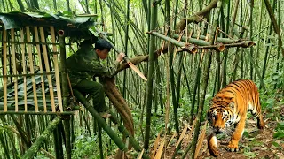 FULL VIDEO-survival alone  Attacked by wild animals, quickly find shelter, survival instinct