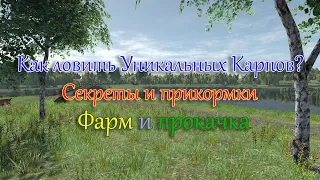 Fishing Planet - Угодья Випинг Виллоу: Как ловить Уникального Карпа? (Секреты, прикормки, фарм)