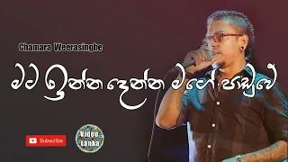 Mata Inna Denna Mage Paduwe | Sinhala Songs | Chamara Weerasinghe