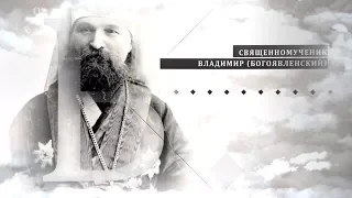 Священномученик Владимир (Богоявленский). Путь на Голгофу: шаг за шагом