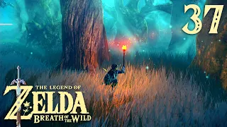 Лес Короков ※ The Legend of Zelda: Breath of the Wild #37