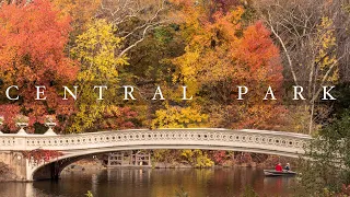 Autumn in Central Park (4k)