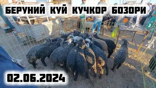 БЕРУНИЙ КУЙ КУЧКОР БОЗОРИ 02.06.2024