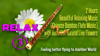 2 Hours Beautiful Relaxing Music (Chinese Bamboo Flute Music) with Beautiful Natural Live Flowers