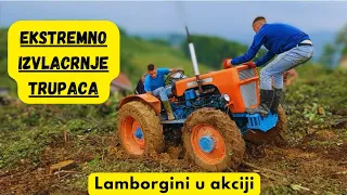 Lamorghini traktor u akciji: Izvlačenje trupaca iz  blata šumske podloge**zaglavili smo se