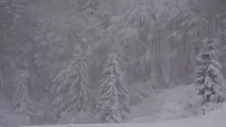 ქალბატონო!