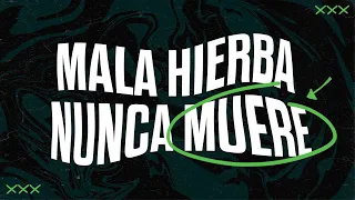 Mala Hierba Nunca Muere  | Andrés Arango | La Central
