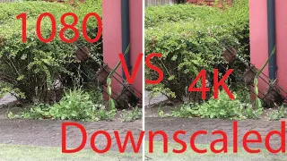 4k Downscaled vs 1080 Video Quality Comparison