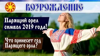 Парящий орел символ 2019 года! Что принесет Новый 2019 год Парящего орла?