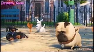 The Secret Life of Pets - Max Memorable Moments