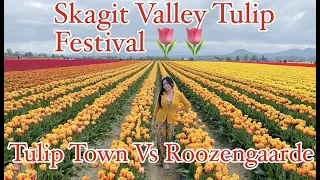 TULIP TOWN in SEATTLE. The Skagit Valley Tulip Festival in Mount Vernon, Washington