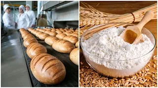 Лукашенко доводит страну до голода! Из белорусских магазинов пропадают хлеб и мука!