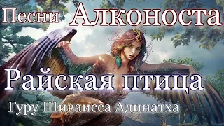 Песни Алконоста - Крышень Коляда Бус Белояр Аргаст Эвелина. Гуру Шиваисса Адинатха