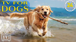 24 Hours Anti Anxiety Music for Dog: TV for Dogs & Videos for Dogs to Prevent Boredom With Dog Music