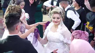 حفل زفاف عمر &  زينب  العريس   رشيد &  لميا  المقطع الرابع