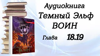 Глава 18. 19. из 25  Аудиокнига "Воин". Цикл "Темный Эльф" Роберт Сальваторе