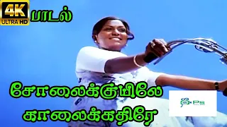 SolaiKkuyilae  Kaalaikkathire   ||சோலைக்குயிலே காலைக்கதிரே || S. P. Sailaja || Tamil H D Love Song