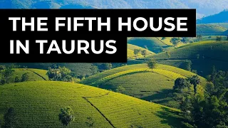 The Fifth House in Taurus (Astrology and Creativity Series)