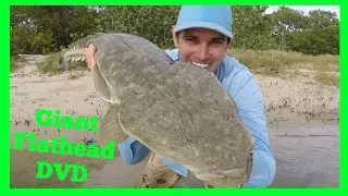 How To Catch GIANT FLATHEAD! Soft plastics, glide baits, Topwater!