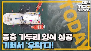 '자연산 같은' 깊은 바다 우럭 양식 주목/대전MBC