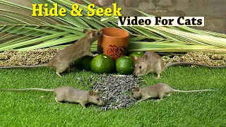 Cat Games - Hide and Seek Mice For Cats -  Mice Video For Cats to Watch & Enjoy - 10-Hour Mice