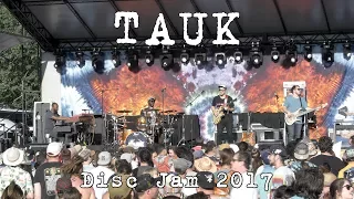 TAUK: 2017-06-10 - Disc Jam Music Festival; Stephentown, NY [4K]