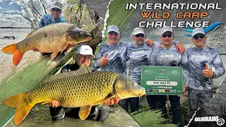 Gábor Döme – Big Carp Fishing on Lake Tisza, IWCC 2023