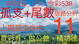 今彩539｜孤支+尾數｜牛哥539｜2024年06月05日（三）今彩539孤支尾數版路分析｜#539