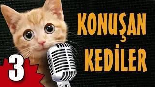 Konuşan Kediler 3 - En Komik Kedi Videoları