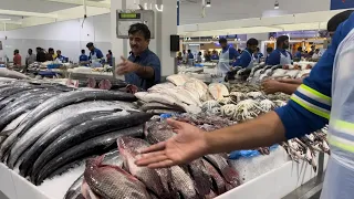 World’s Best Fish Market | Dubai Waterfront Market | Fish, Fruits & Vegetables market