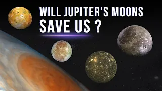 Will Jupiter`s Moons Save Us from Extinction?