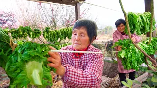 Grandma's Secret Recipe for Traditional Chinese Pickles | Primitive Rural Life