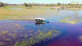 Okavango Explorers Camp | Great Plains