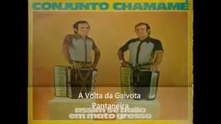 Conjunto Chamame   A Volta da Gaivota Pantaneira