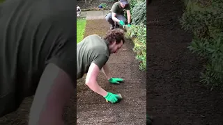 Much easier than a pressure washer #shorts #gardening #satisfying #transformation