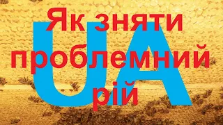 Як зняти проблемний рій. Хитрощі та секрети зняття рою. "Пасіка діда Євгена"