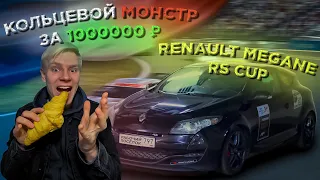 RENAULT MEGANE RS CUP - ФРАНЦУЗ, РОЖДЁННЫЙ ПОБЕЖДАТЬ!