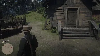 House Robbery + Special SHOTGUN💰🔫 RDR2