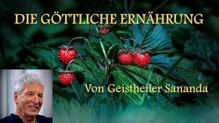 Die Ernährungslehre von Geistheiler Sananda