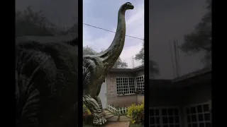 Brachiosaurus (cuello largo)