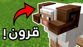 30 معلومة مستحيل تعرفها عن الحيوانات في ماين كرافت !