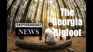 Real or Hoax? The 'Georgia Bigfoot Video'