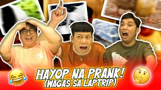 HAYOP NA PRANK (WAGAS SA LAPTRIP) | BEKS BATTALION