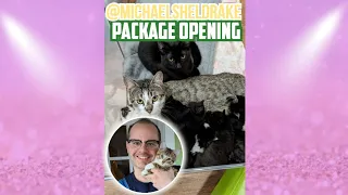 Follower Gift Unboxing With 12 Rescue Cats and Kittens